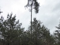 Sortie St Valentin 14 02 2016 (6)